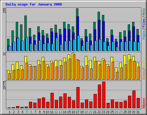 Daily usage for January 2008